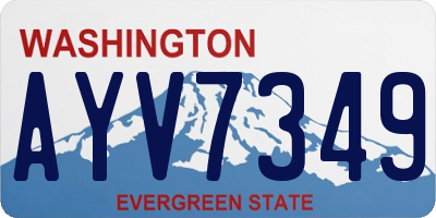 WA license plate AYV7349