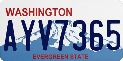 WA license plate AYV7365