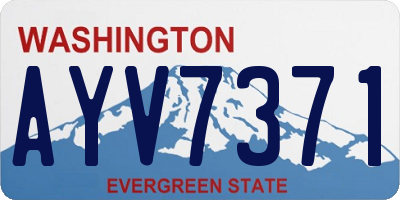 WA license plate AYV7371