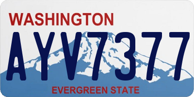 WA license plate AYV7377