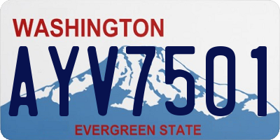 WA license plate AYV7501