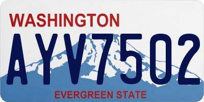 WA license plate AYV7502