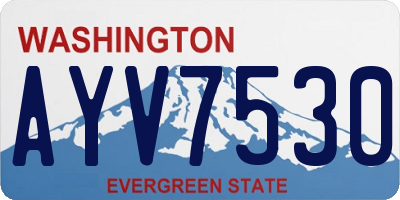 WA license plate AYV7530
