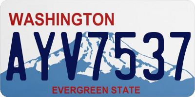 WA license plate AYV7537