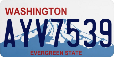 WA license plate AYV7539
