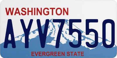 WA license plate AYV7550