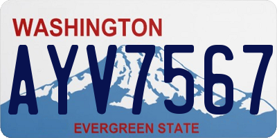 WA license plate AYV7567