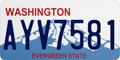 WA license plate AYV7581