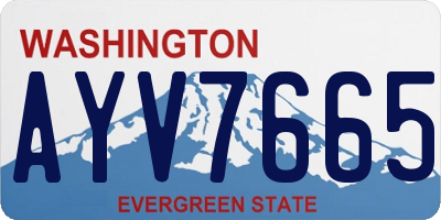 WA license plate AYV7665