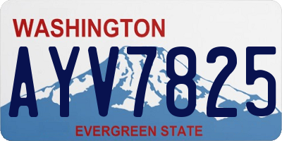 WA license plate AYV7825