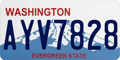 WA license plate AYV7828