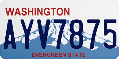 WA license plate AYV7875