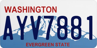 WA license plate AYV7881