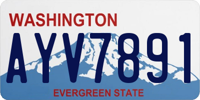 WA license plate AYV7891