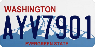 WA license plate AYV7901