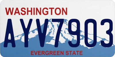 WA license plate AYV7903