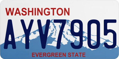 WA license plate AYV7905