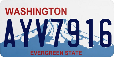 WA license plate AYV7916