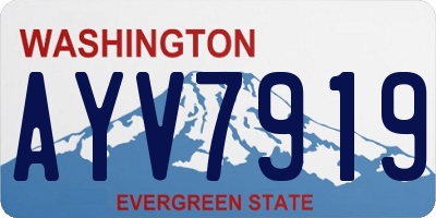 WA license plate AYV7919