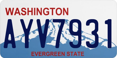 WA license plate AYV7931