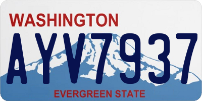 WA license plate AYV7937