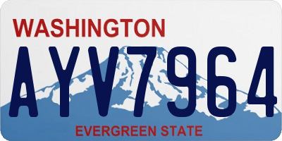 WA license plate AYV7964