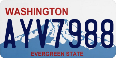 WA license plate AYV7988