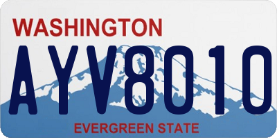 WA license plate AYV8010