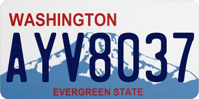 WA license plate AYV8037
