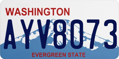 WA license plate AYV8073