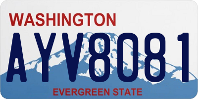 WA license plate AYV8081