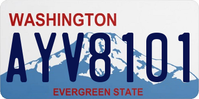 WA license plate AYV8101