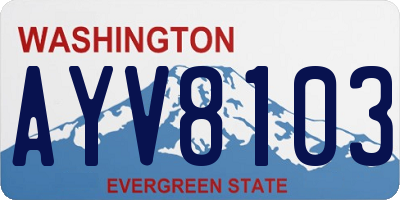 WA license plate AYV8103