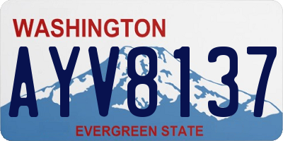 WA license plate AYV8137