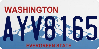 WA license plate AYV8165