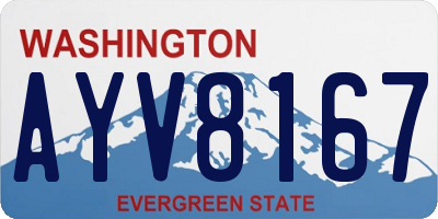 WA license plate AYV8167