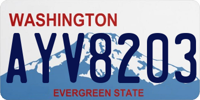 WA license plate AYV8203