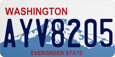 WA license plate AYV8205