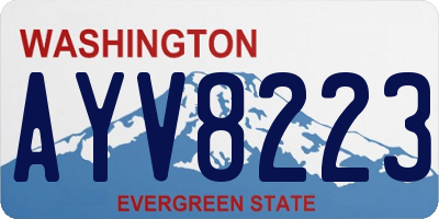 WA license plate AYV8223