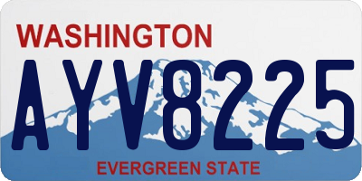 WA license plate AYV8225