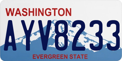 WA license plate AYV8233