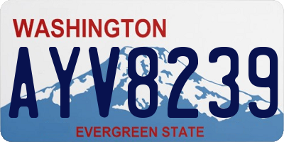 WA license plate AYV8239