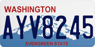 WA license plate AYV8245