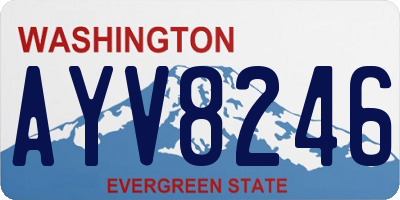 WA license plate AYV8246