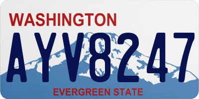 WA license plate AYV8247