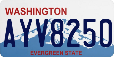 WA license plate AYV8250