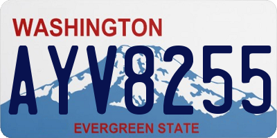 WA license plate AYV8255