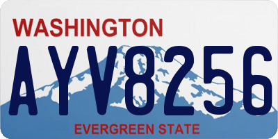 WA license plate AYV8256