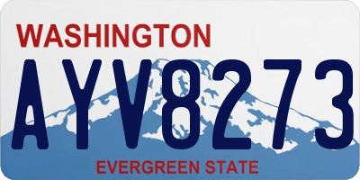 WA license plate AYV8273