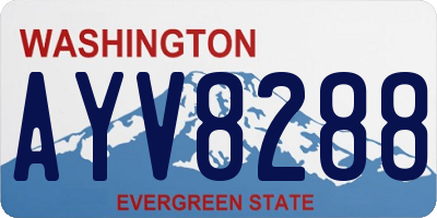 WA license plate AYV8288